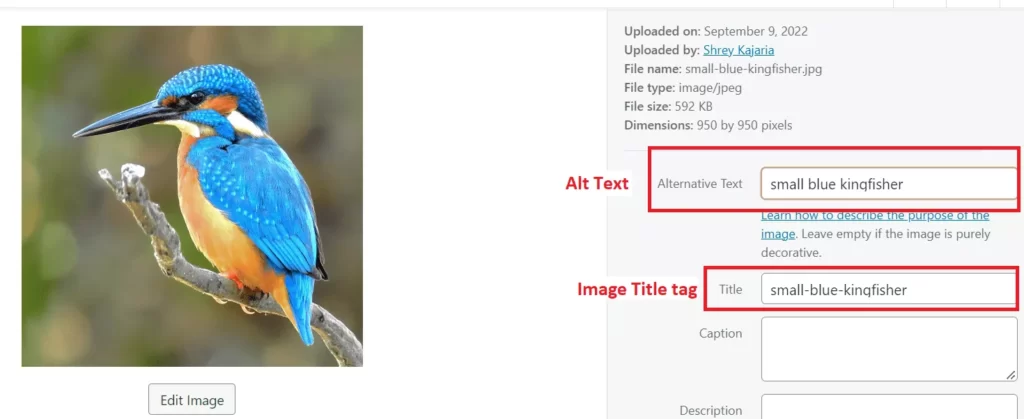 changing-alt-text-in-wordpress