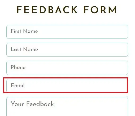 feedback-form